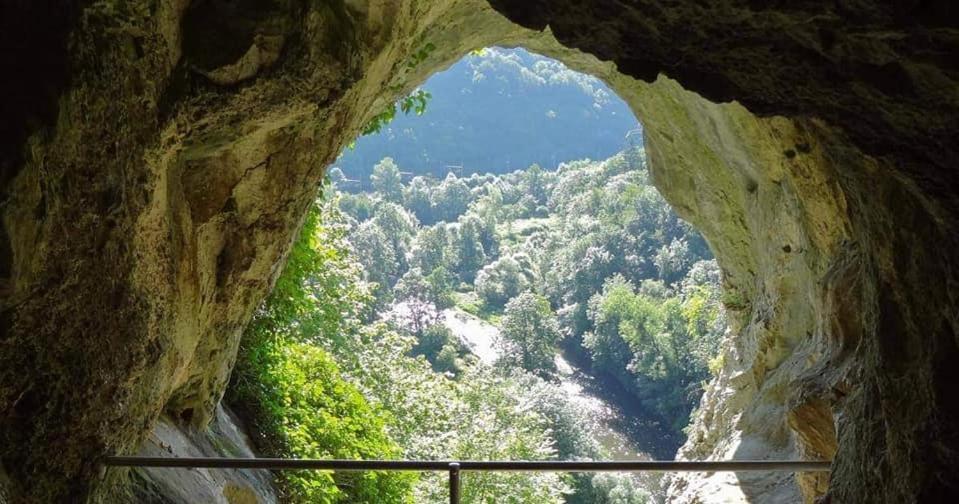 L'Echappee Au Jardin, Yourte Bucolique Godinne Exteriör bild